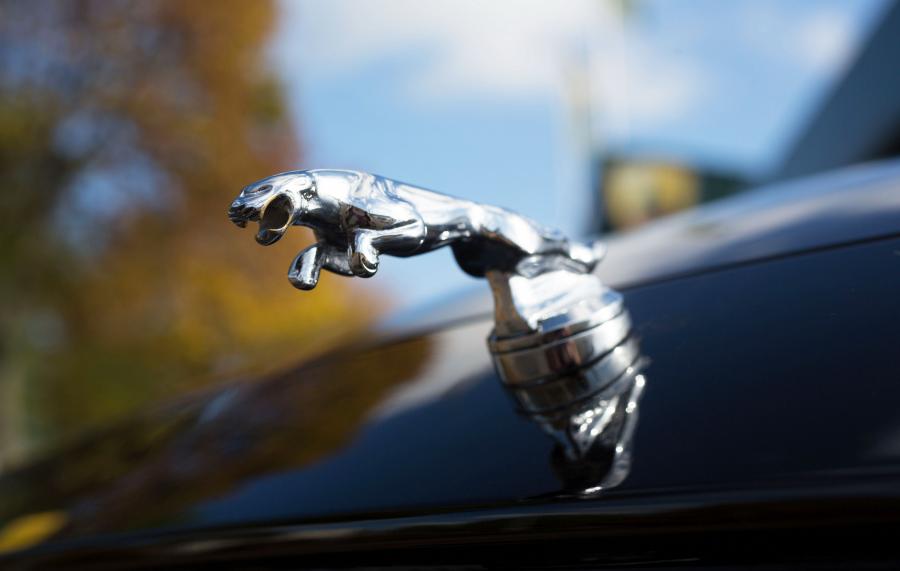 Логотип Jaguar F-Pace by Arden 2016 года  (фото 4 из 4)